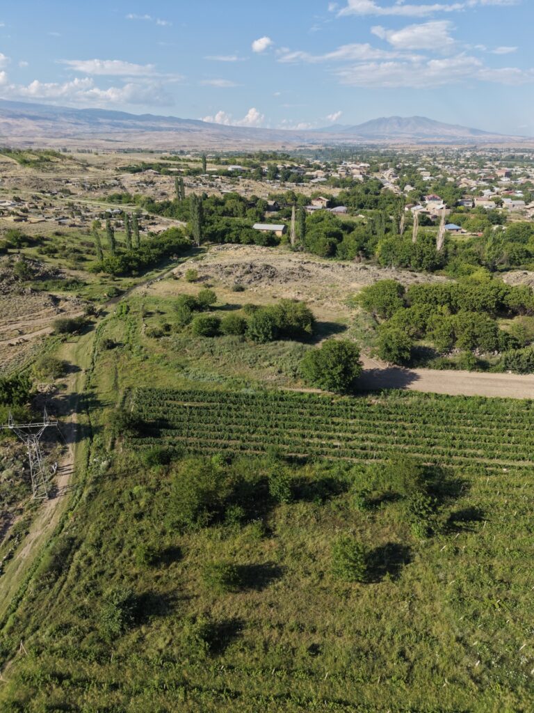 Հողատարածք — Վաղարշապատ (Էջմիածին) Վաղարշապատ — Prime Realty անշարժ գույք
