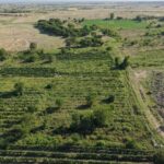 Հողատարածք — Վաղարշապատ (Էջմիածին) Վաղարշապատ — Prime Realty անշարժ գույք 2